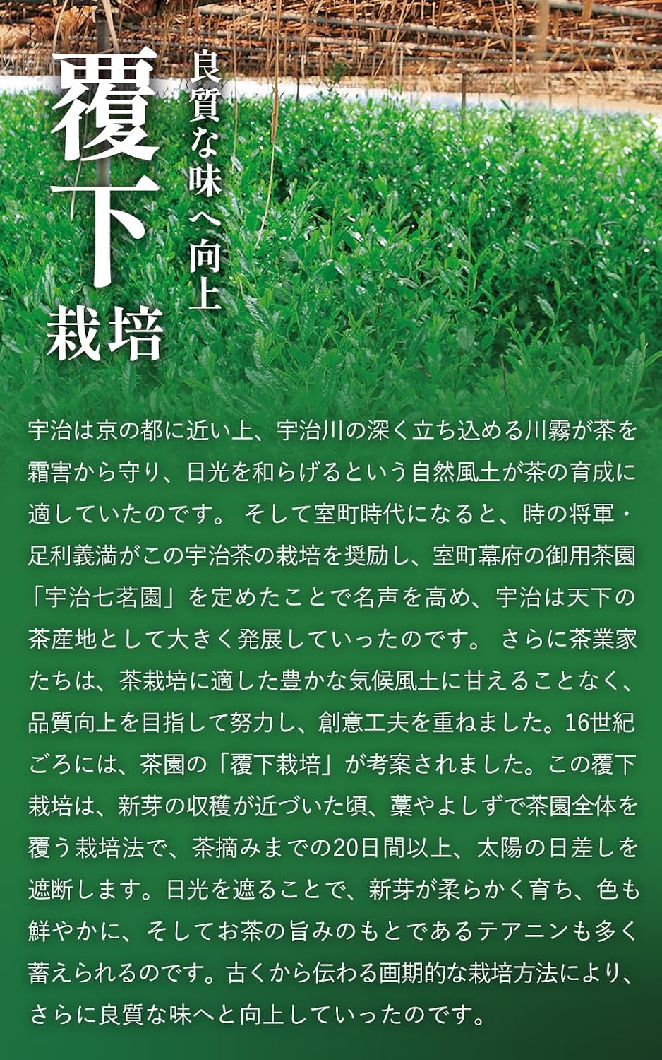 【預訂商品】京都宇治田原製茶場 宇治抹茶 京の華 高級 40g
