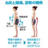 預訂- 日本進口 - 臀部伸展帶 (紅色-軟 / 藍色-硬) - Image 4