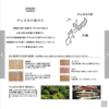 預訂- 日本制 - 【MINAMIKARA】KUMIKI POT MAT 沖繩縣延原市木製五邊形杯墊