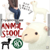 預訂- 日本進口 - Animal Stool ◆坐獸系列◆可愛嗎？羊駝先生◆ 設計兒童玩具椅