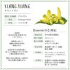 現貨 -日本進口 - Botanical Lab Aroma Essential Oil 香薰精油10ml 依蘭依蘭 - Image 2