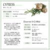 現貨 - 日本進口 - Botanical Lab Aroma Essential Oil 香薰精油10ml 絲柏 CYPRESS - Image 2