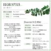現貨- 日本進口 - Botanical Lab Aroma Essential Oil 香薰精油10ml eucalyptus 桉樹 /尤加利 - Image 2