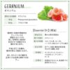 現貨- 日本進口 - Botanical Lab Aroma Essential Oil 香薰精油10ml Geranium 天竺葵 - Image 2