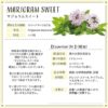 現貨- 日本進口 - Botanical Lab Aroma Essential Oil 香薰精油10ml Marjoram sweet 甜馬鬱蘭 - Image 2
