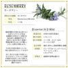 現貨- 日本進口 - Botanical Lab Aroma Essential Oil 香薰精油10ml ROSEMARY 迷迭香 - Image 2